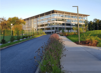 Estudiar Marketing en la Pacífico te acerca al mundo