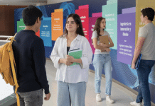 Carrera de Economía: educación sin fronteras