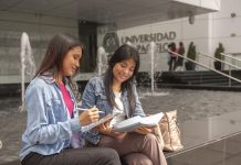 Tasa de Empleabilidad de Universidades en el Perú: razones por las que la UP marca la diferencia  Tasa de Empleabilidad de Universidades en el Perú